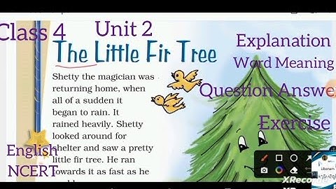 हिन्दी Explanation |Word - Meanings | Exercise | Class 4|NCERT English |Unit 2 |The Little Fir Tree|