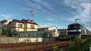 EF210-166号機[吹]牽引1050レ 静岡駅～安倍川駅間通過
