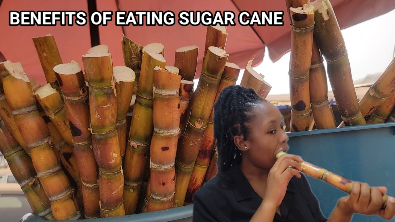 5 BENEFITS OF EATING SUGAR CANE YOU NEVER KNEW ABOUT!
