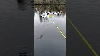 Crappie Snaps Rod!!#fishing#crappie#shorts#viralvideo#freshwaterfishing#nature#wildlife#fyp#crazy