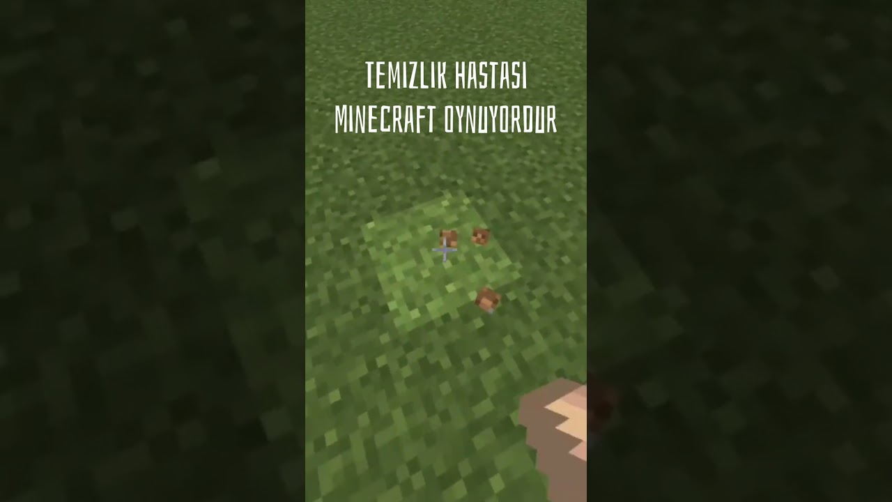Temizlik hastası Minecraft oynuyordur🧹