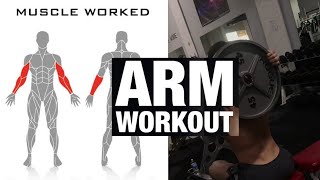 (Biceps + Triceps) Exercise For Intermediate