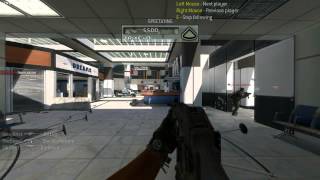 Celebrity Mw2 ( aiw3) Hacker with aimbot/wallhack and possible no recoil Wealth