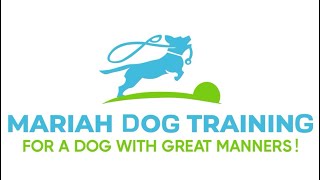 🐾Griswold Puppy Training That Works: Drop It, Leave It & Loose Leash Walking