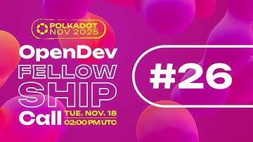 OpenDev Core Polkadot Call - November 2025