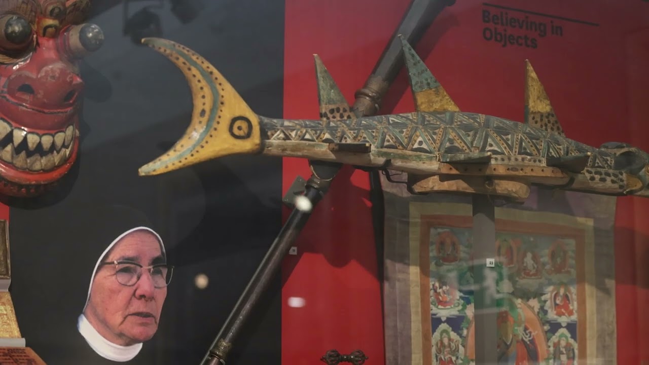 Beautiful Great North Museum   Hancock Museum