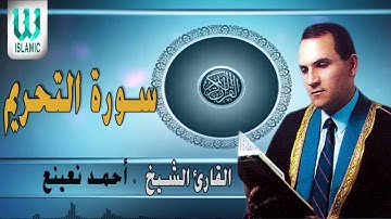 فضيلة القارئ الشيخ احمد نعينع تلاوه نادره لسورة التحريم