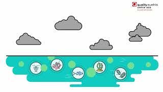 What are Carbon sinks ? Explained | QACA