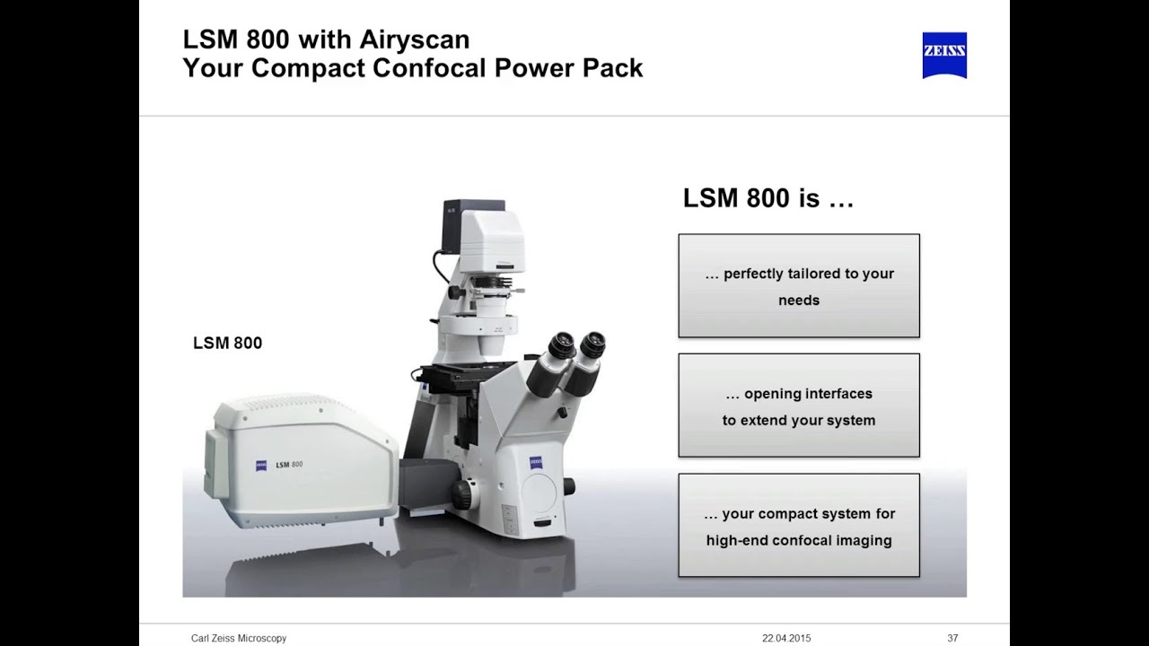 Confocal Laser Scanning Microscopy Zeiss