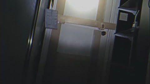 Vita Carnis - Terminal Rally