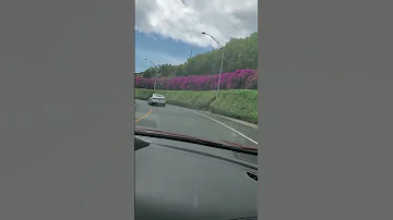 Hawaii 2021 