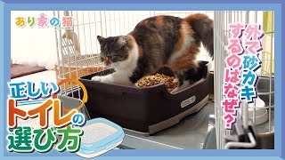 猫の適切なトイレの選び方は？砂かけしないようになったら？【猫雑学│ランちゃん教えて！】