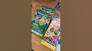 thuốc trị rầy rệp sáp và chống rụng trái cà phê