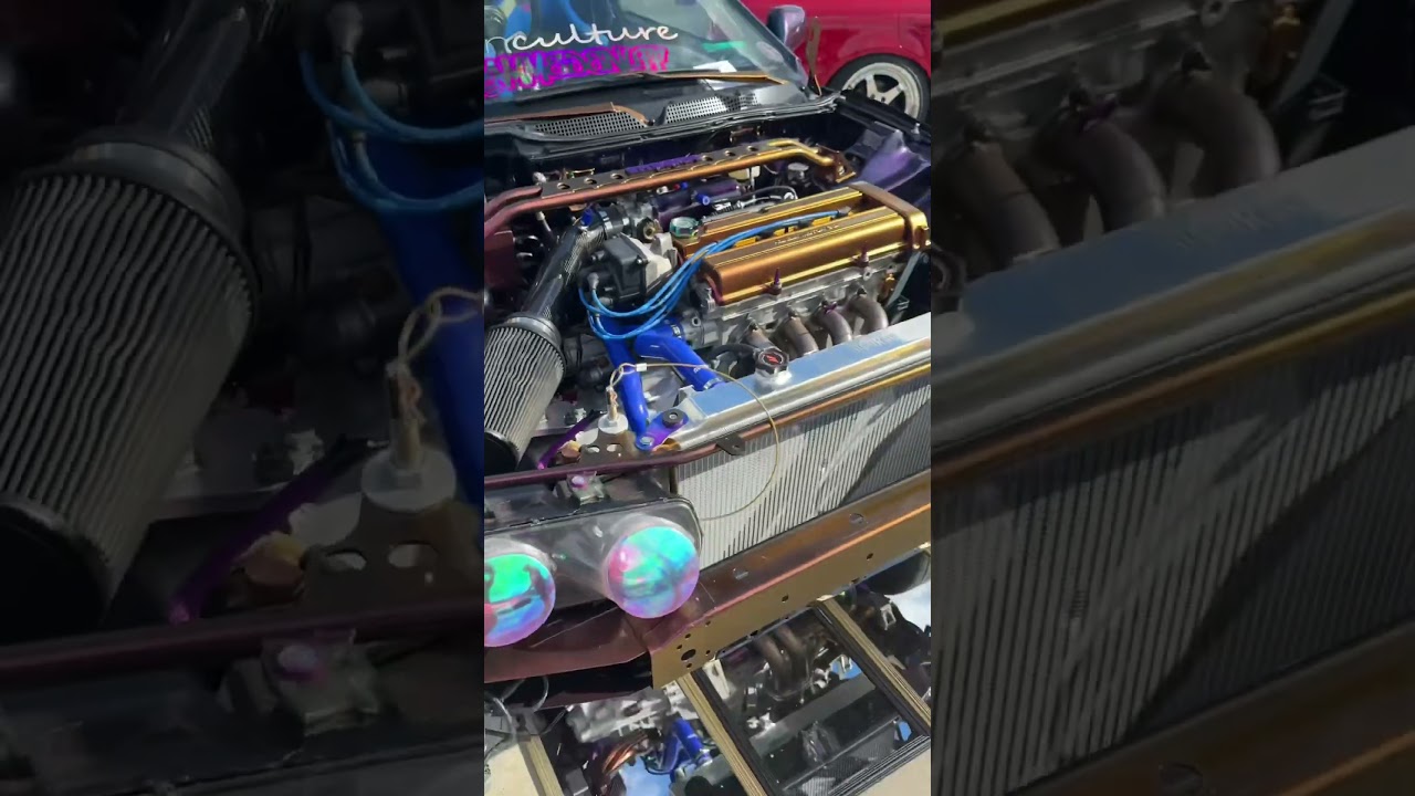 Clean Culture Clips 3 