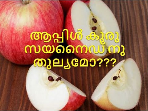 Is apple seeds
