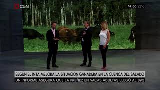 Según el INTA, mejora la situación ganadera en la cuenca del Salado