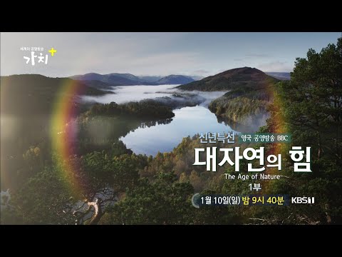 [예고 - 세계의 공영방송 가치+] 신년특선 대자연의 힘 1부 (영국 BBC 및 미국 <strong>PBS</strong> 방송)