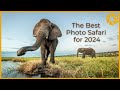 The best PHOTO SAFARI for 2021