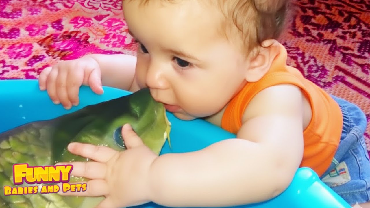 Babies Doing The Funniest Things👶Try Not To Laugh | Cute Baby Videos
