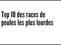 Levage de lionel top 10 des races de poules les plus lourds