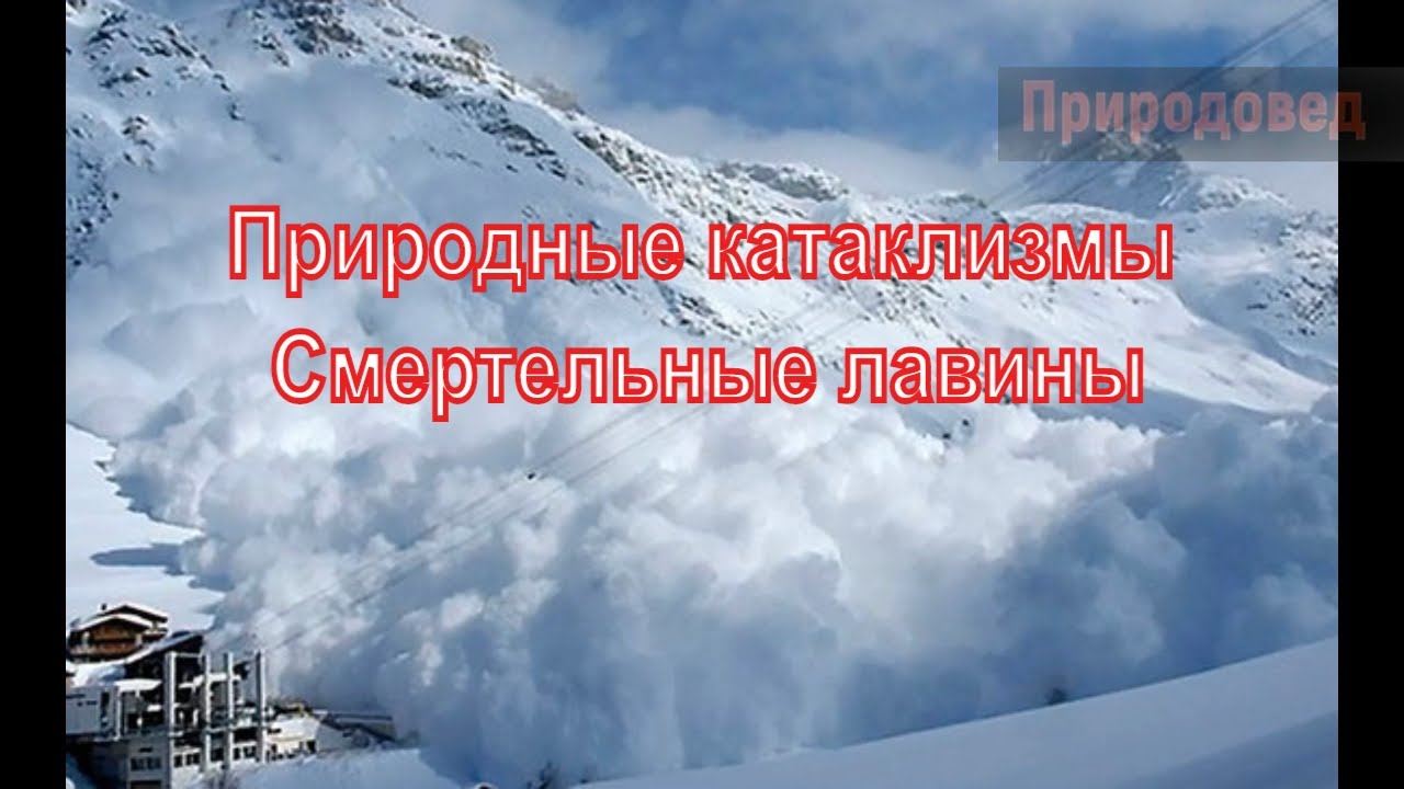 Каско природные катаклизмы