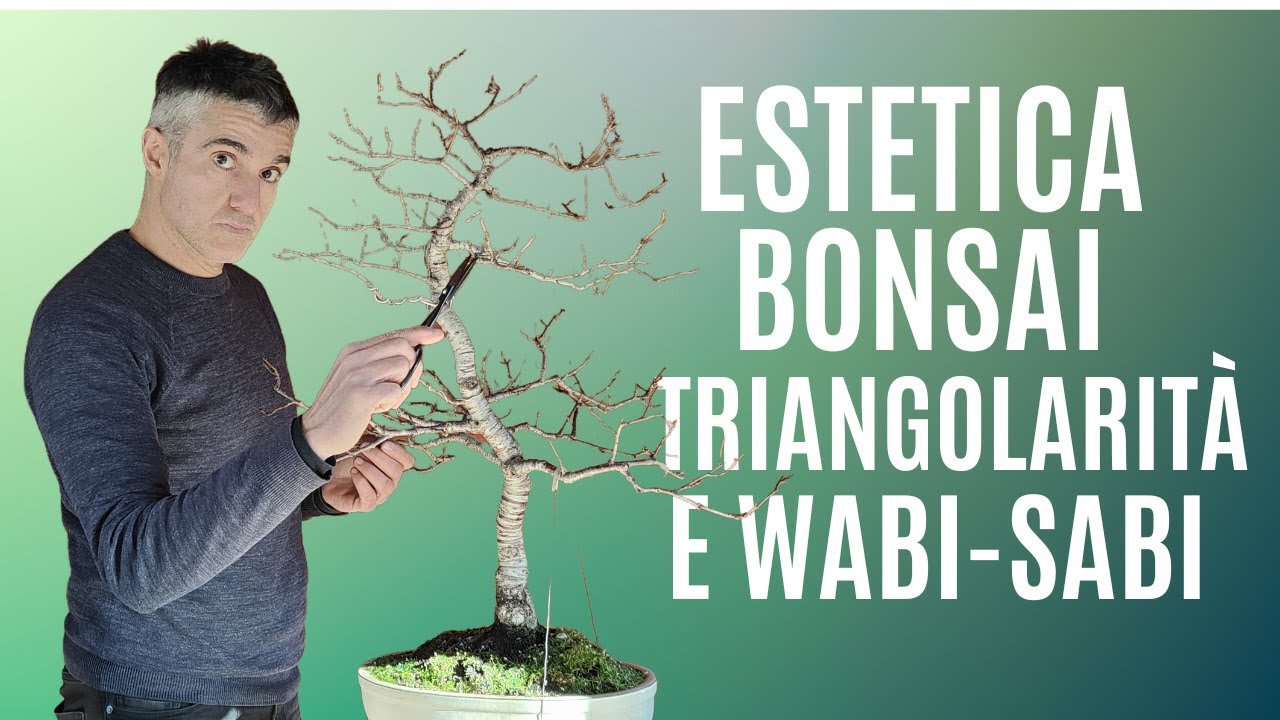 ESTETICA del BONSAI, triangolarità e WABI SABI