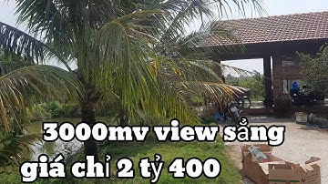 nhà vườn nhìn là mê, đủ loại trái cây, giá siêu rẻ, Huyện Châu Đức Bà Rịa Vũng Tàu  :0933708258