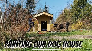 Painting our Dog House