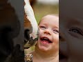 This Baby’s Reaction to a Horse Will Melt Your Heart! 😍