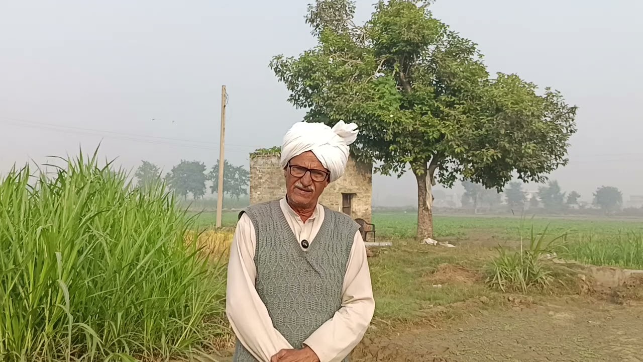 जिस बेटे को दादालाही जमीन बेच कर डॉक्टर बनाया उसी दुष्ट बेटे ने मां बाप को वृद्ध आश्रम पहुंचाया पोते