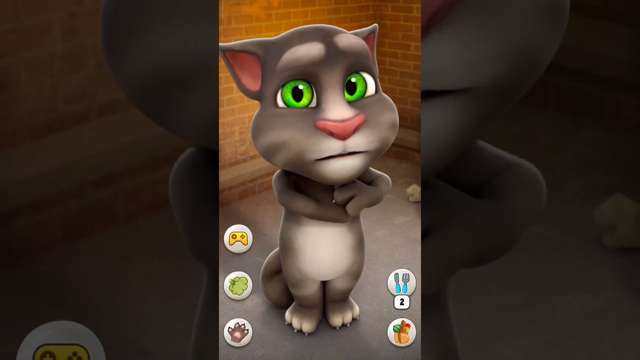 Talking Tom Cat Shorts Funny Talkingtom