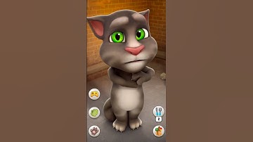 Talking Tom Cat  #shorts #funny #talkingtom