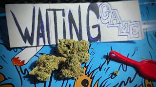 WAITING GAME - THCA -  UNKNOWN VENDOR