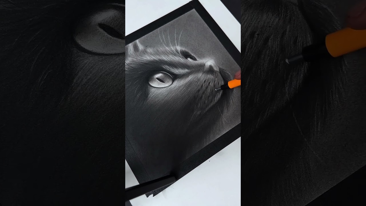 Hyper-realistic Cat Drawing 