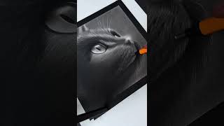 Hyper-realistic Cat Drawing #artists #catvideos #viralsound