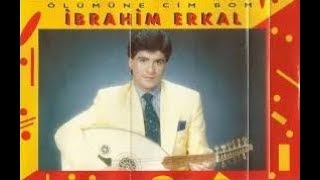 İbrahim Erkal ft Pınar Dilşeker   Nar Tanesi Resimi