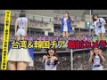 【最前】台湾チアオールスターに韓国チアも!過激な衣装に大興奮【WBC⭐︎志柿じゅみ】