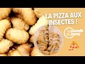 La pizza aux insectes du chef julien serri 