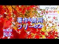 ★和永【著作・商用フリー♪Free BGM & Sound effect 】彩る和風曲、着物を着た気分で華やかな気持ちになる曲