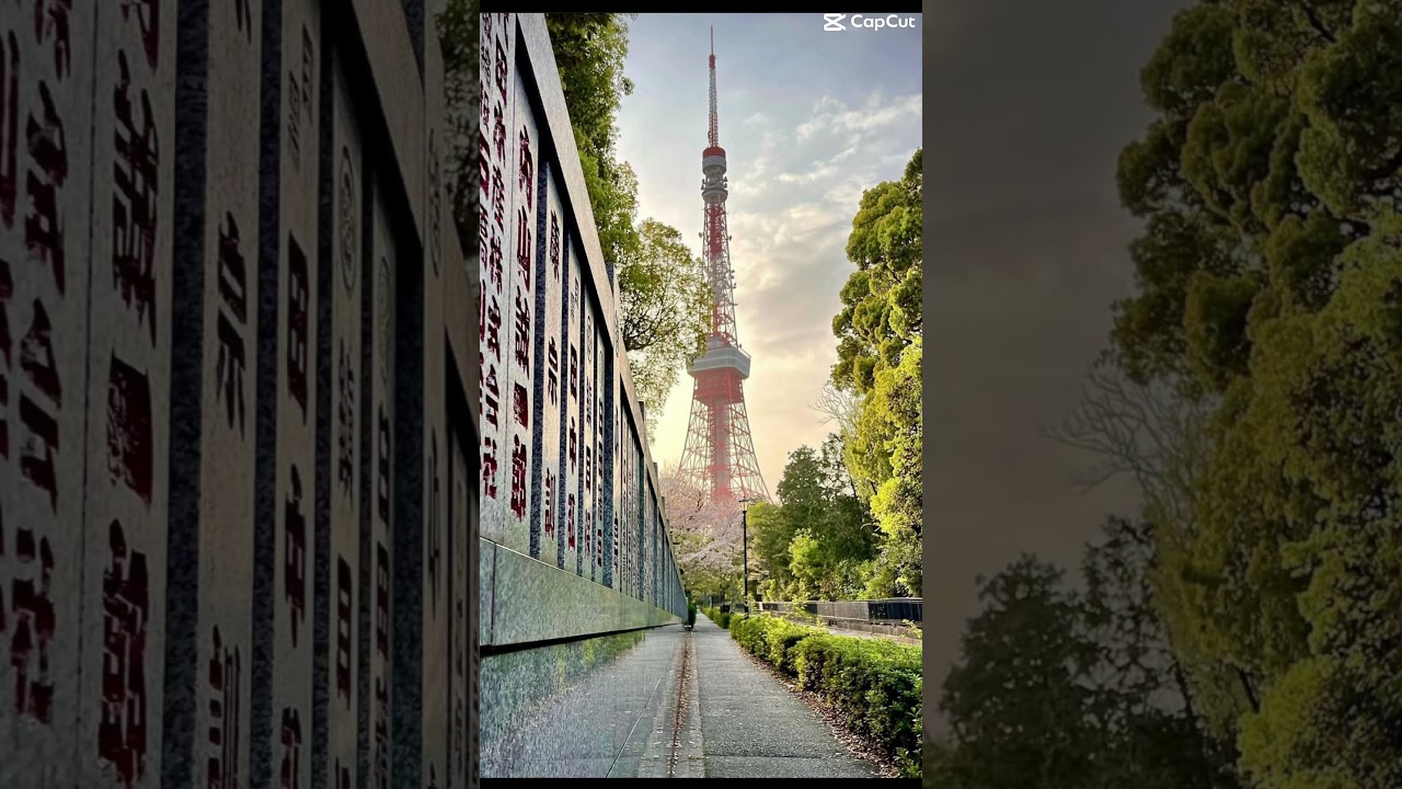 Tokyo Tower #mrfoodiepk #tokyo #tokyotower