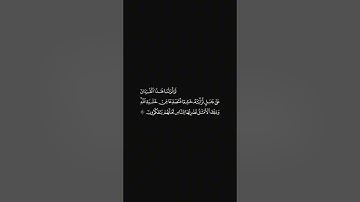 الشيخ احمد حمادي سورة الحشر