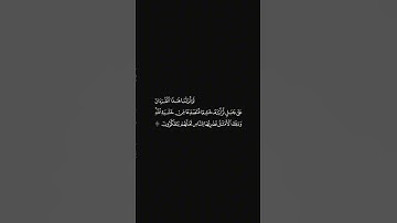 الشيخ احمد حمادي سورة الحشر