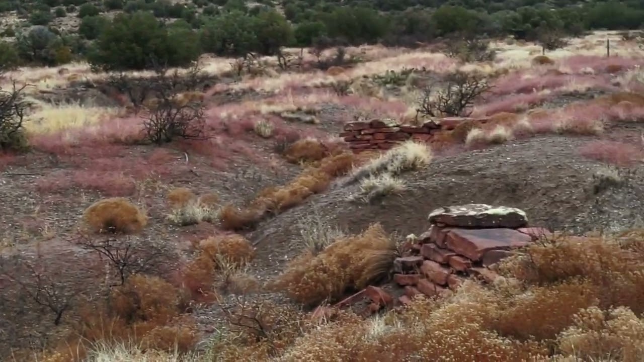 coyote hunting cool walls