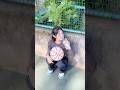 うますぎやろがい！！！#basketball #shorts