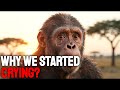 The REAL Reason Humans Cry Emotional Tears (No Other Animal Does This) | History for Sleep