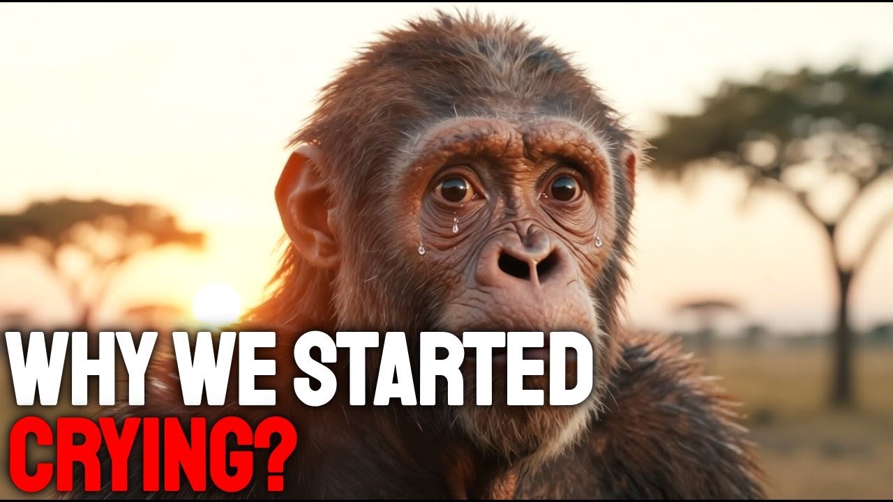 The REAL Reason Humans Cry Emotional Tears (No Other Animal Does This) | History for Sleep