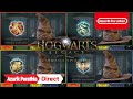 Hogwarts Legacy : L'Héritage de Poudlard – la magie vous attends (Nintendo Switch)