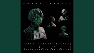 INTRO (CODURI BINARE)