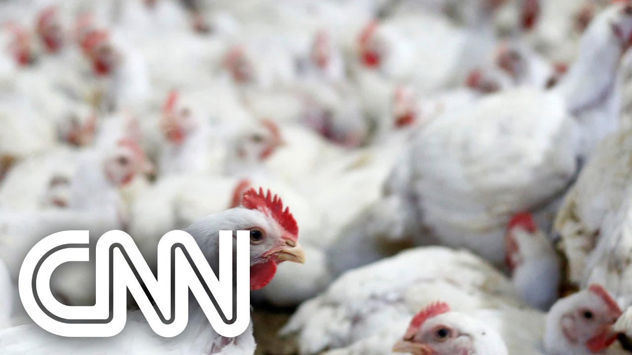 Exportações de frango sobem 5,7% em março | AGORA CNN