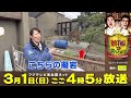 『動物さまの言うとおり　アニマルお仕事大図鑑SP』番宣15秒　スゴ技！エキスパート企業編